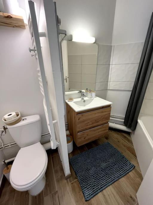 The Jungle Studio, Loggia & Parking Dans Residence Romans-sur-Isère Екстериор снимка