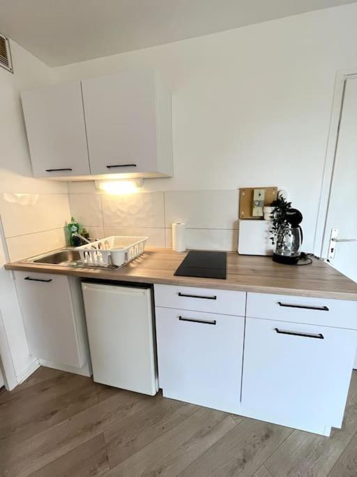 The Jungle Studio, Loggia & Parking Dans Residence Romans-sur-Isère Екстериор снимка