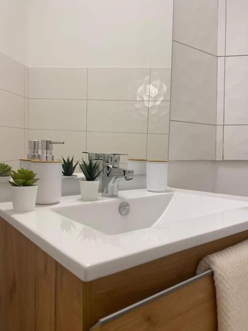 The Jungle Studio, Loggia & Parking Dans Residence Romans-sur-Isère Екстериор снимка